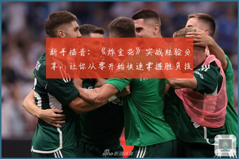 新手福音：《炸金花》实战经验分享，让你从零开始快速掌握胜负技巧
