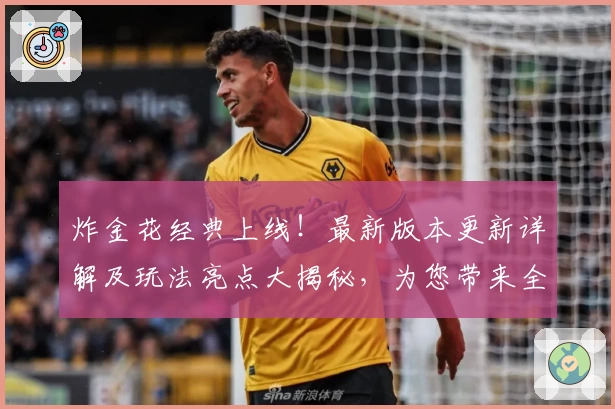 炸金花经典上线！最新版本更新详解及玩法亮点大揭秘，为您带来全新竞技体验