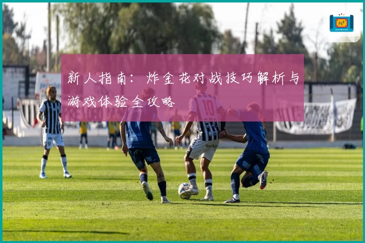 新人指南:炸金花对战技巧解析与游戏体验全攻略