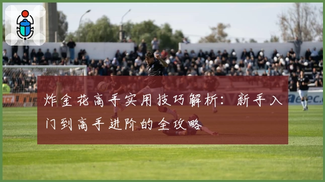 炸金花高手实用技巧解析：新手入门到高手进阶的全攻略