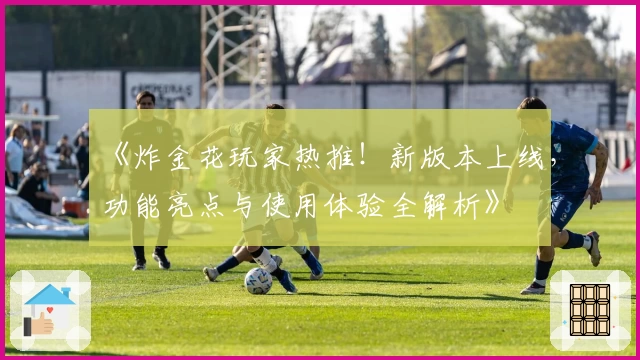 《炸金花玩家热推！新版本上线，功能亮点与使用体验全解析》