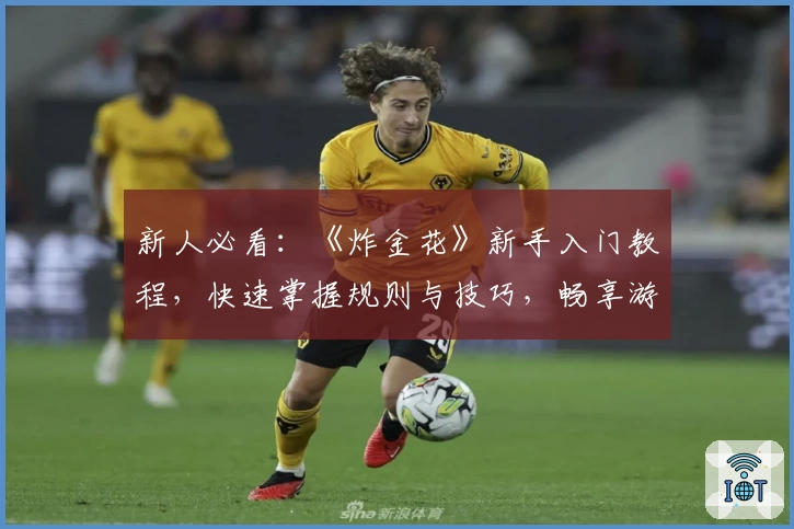 新人必看：《炸金花》新手入门教程，快速掌握规则与技巧，畅享游戏乐趣