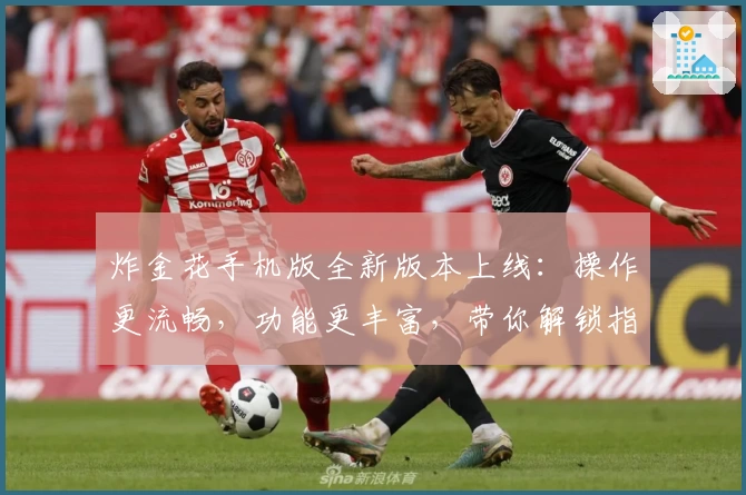 炸金花手机版全新版本上线：操作更流畅，功能更丰富，带你解锁指尖娱乐新体验