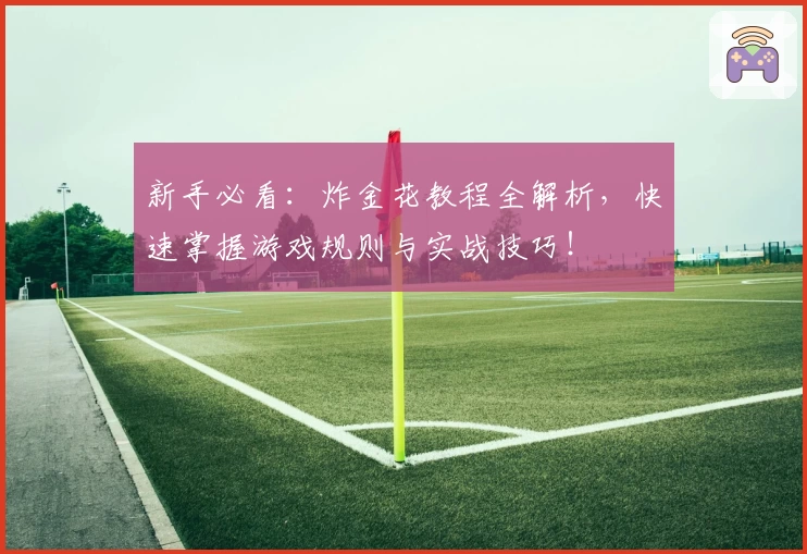 新手必看：炸金花教程全解析，快速掌握游戏规则与实战技巧！